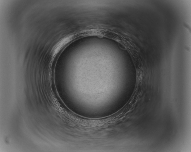 X0000100960006200806241538