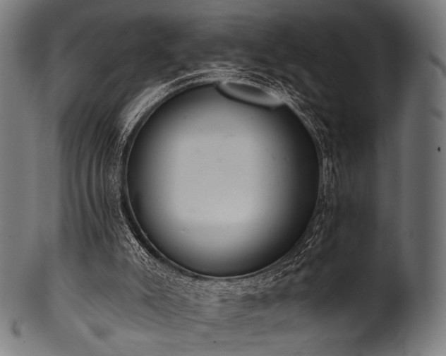 X0000100960007200806241538
