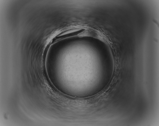 X0000100960008200806241538