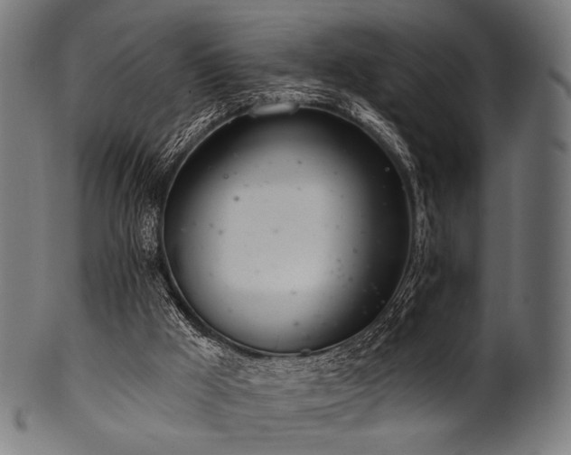 X0000100960009200806241538