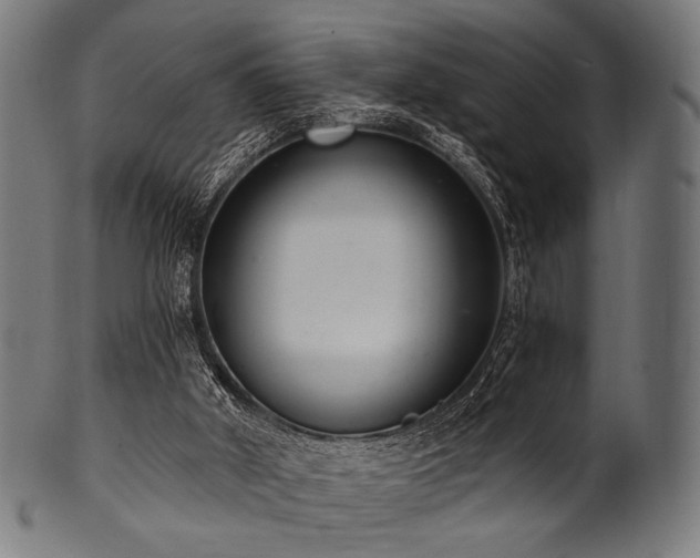 X0000100960010200806241538