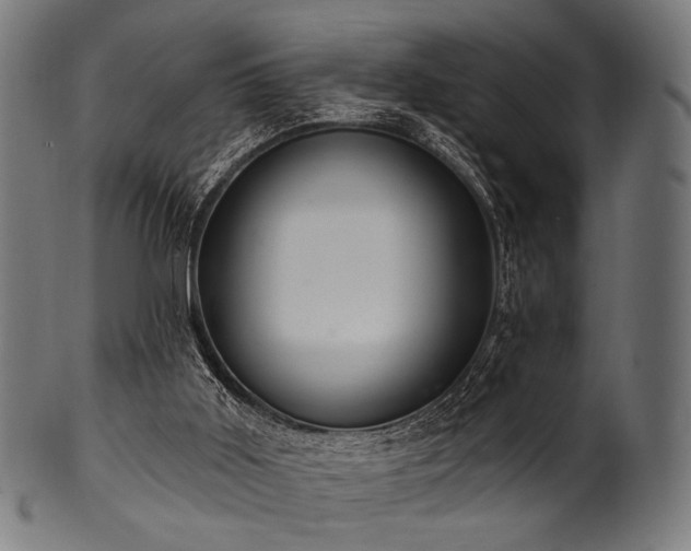 X0000100960011200806241538
