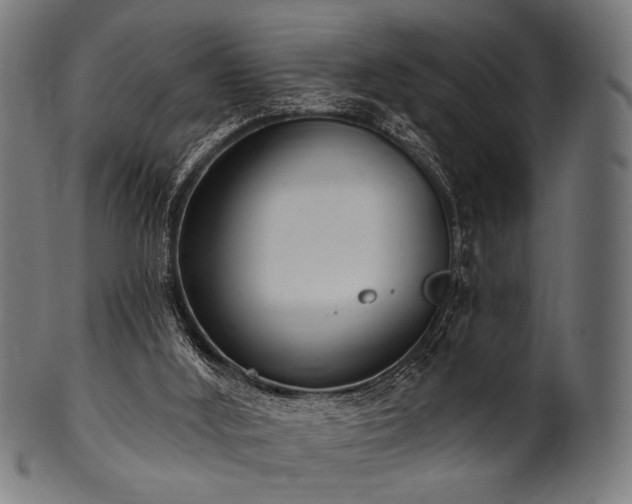 X0000100960012200806241538