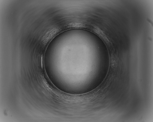 X0000100960014200806241538