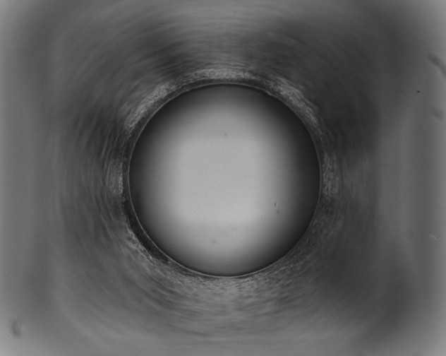 X0000100960015200806241538