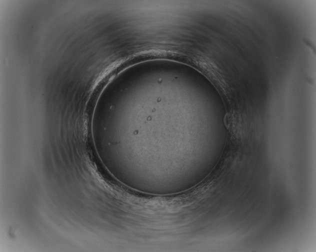 X0000100960016200806241538