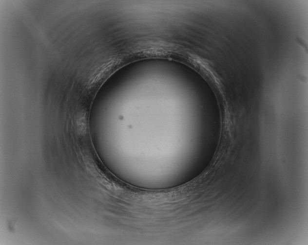 X0000100960017200806241538