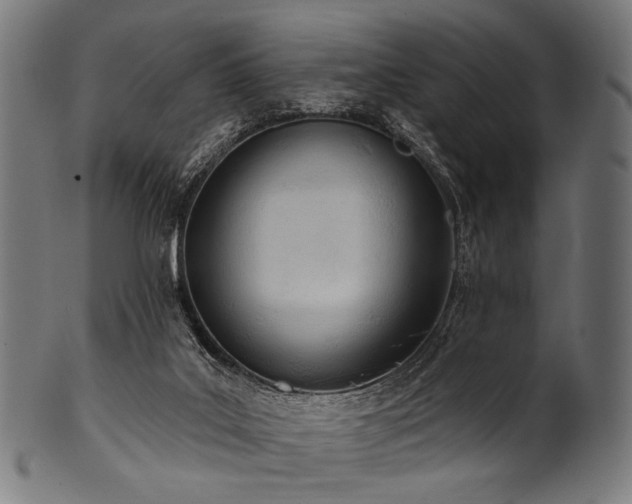 X0000100960019200806241538