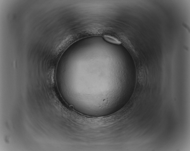 X0000100960023200806241538