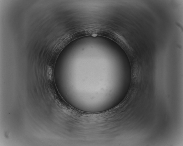 X0000100960025200806241538