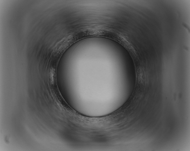 X0000100960026200806241538