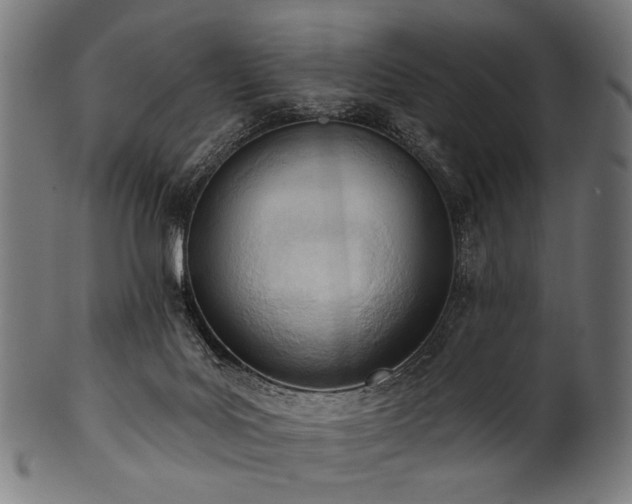 X0000100960027200806241538