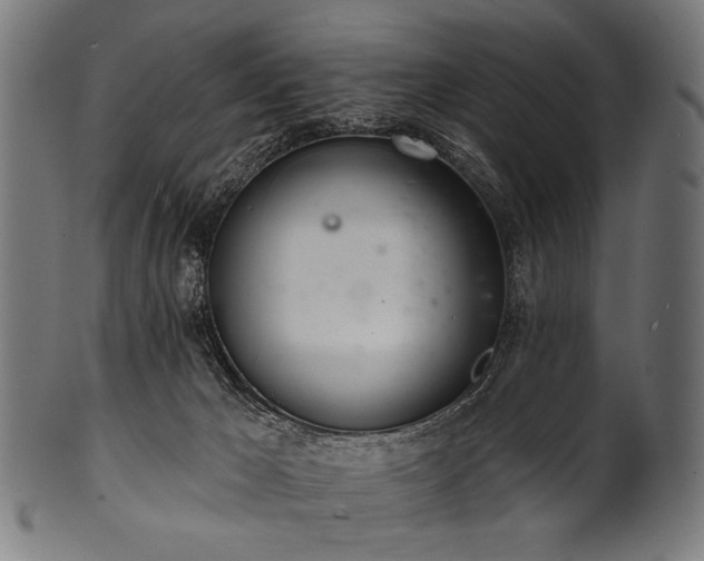 X0000100960029200806241537