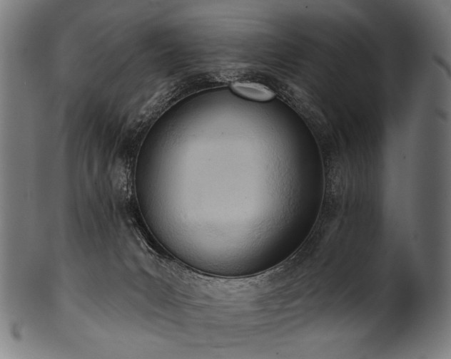 X0000100960031200806241537