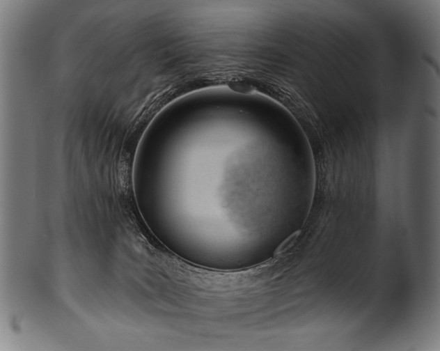 X0000100960035200806241537