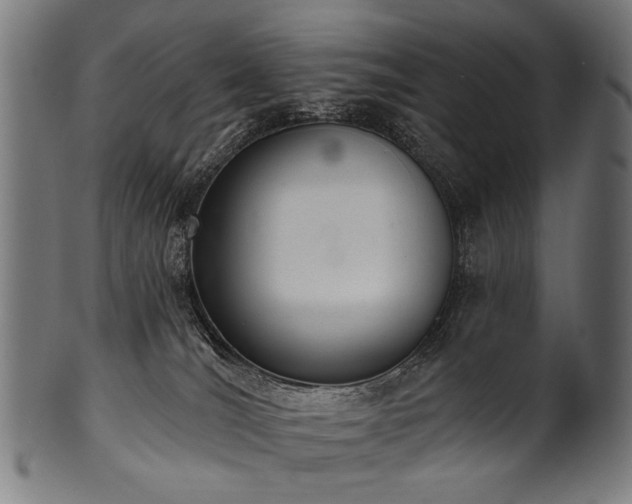 X0000100960036200806241537