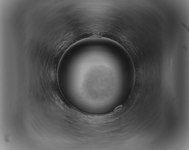 X0000100960039200806241537
