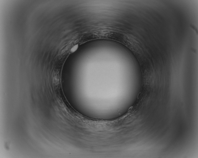 X0000100960040200806241537