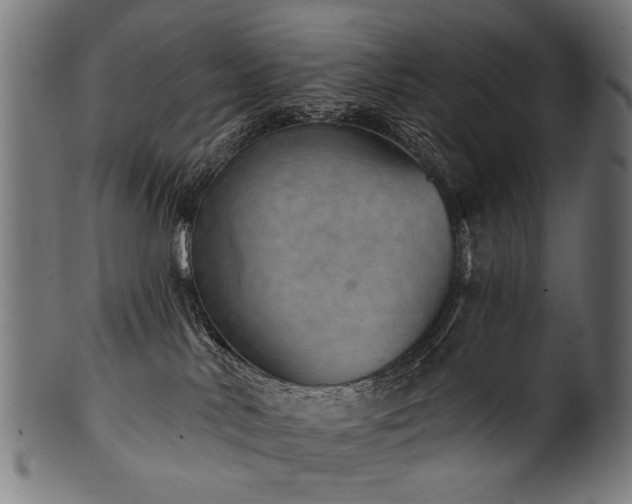 X0000100960042200806241537