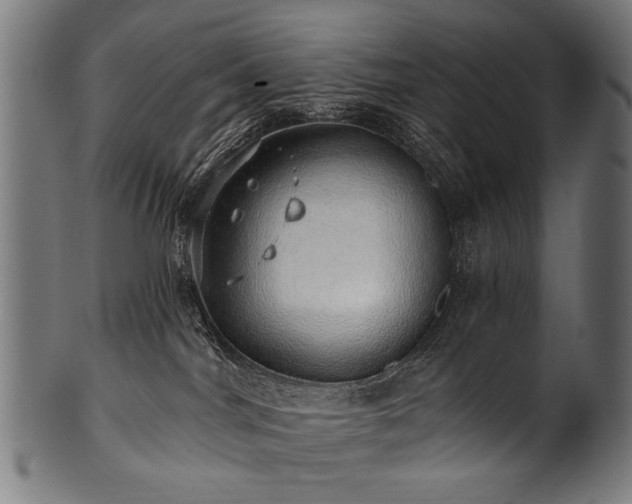 X0000100960044200806241537
