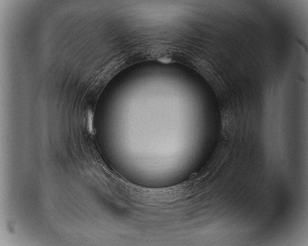 X0000100960046200806241537