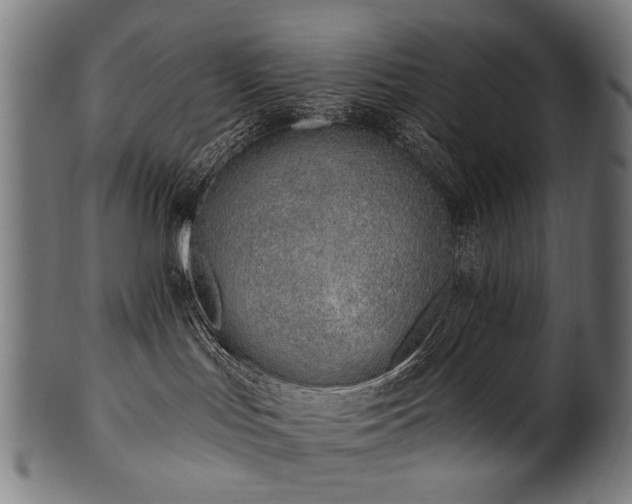 X0000100960047200806241537