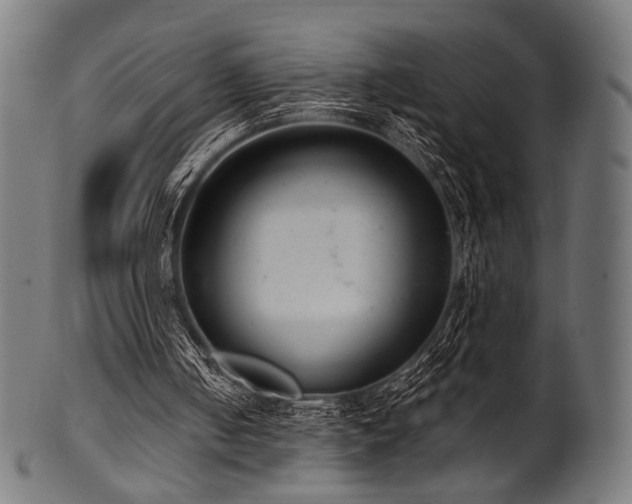 X0000100960050200806241537