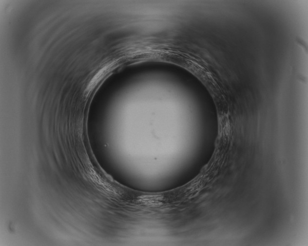 X0000100960051200806241537