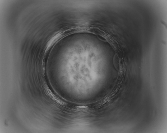 X0000100960053200806241537