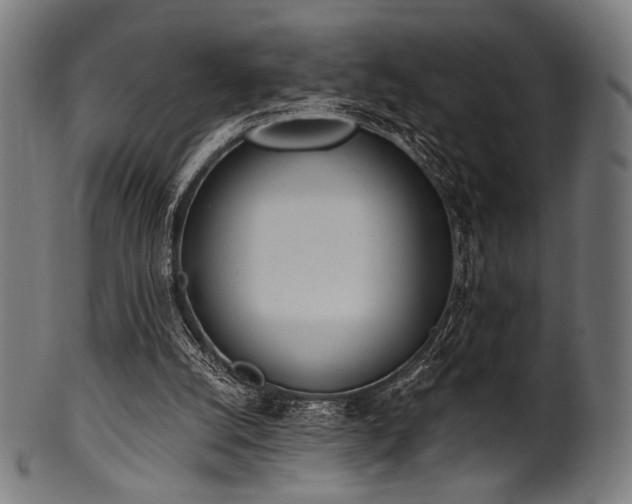 X0000100960056200806241537