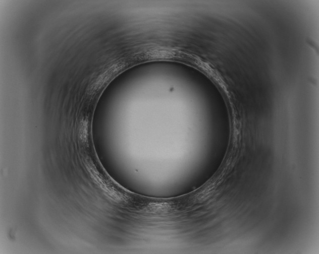 X0000100960057200806241537