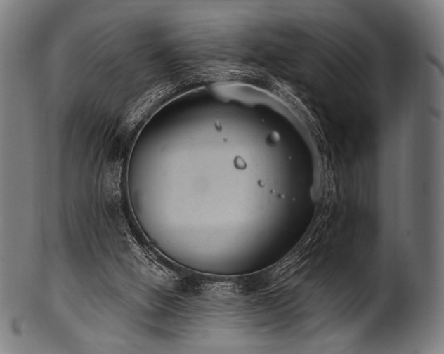 X0000100960058200806241537
