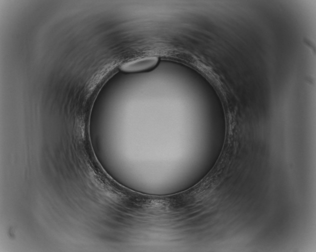X0000100960060200806241537