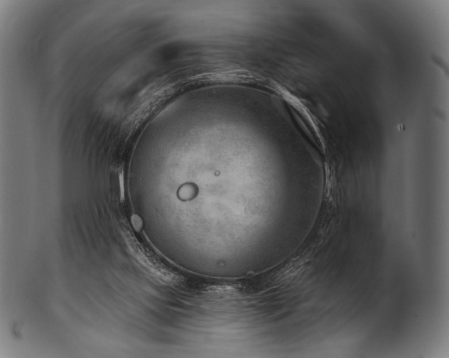 X0000100960061200806241537