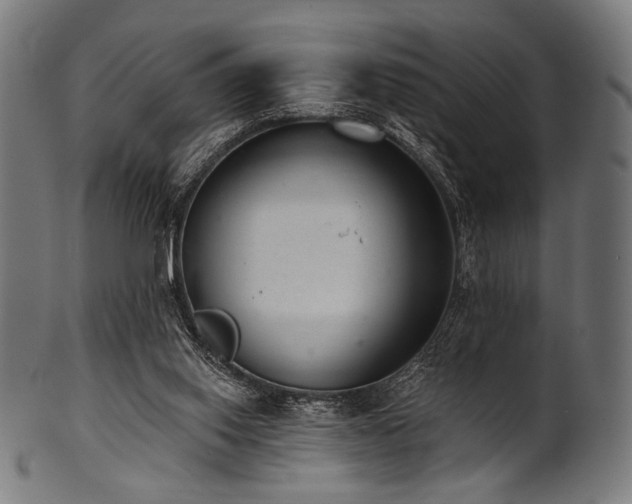 X0000100960062200806241537