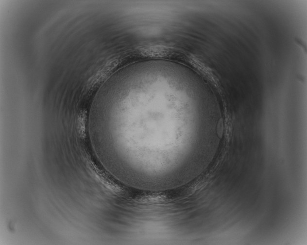 X0000100960065200806241537