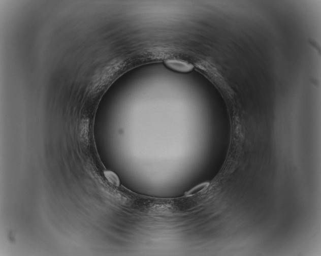 X0000100960066200806241537