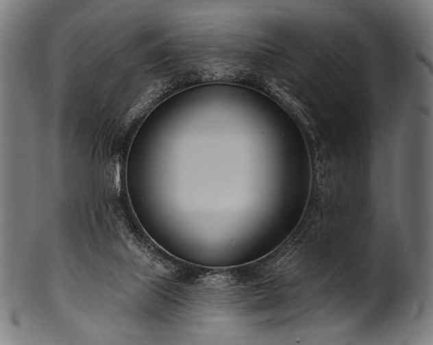 X0000100960067200806241537