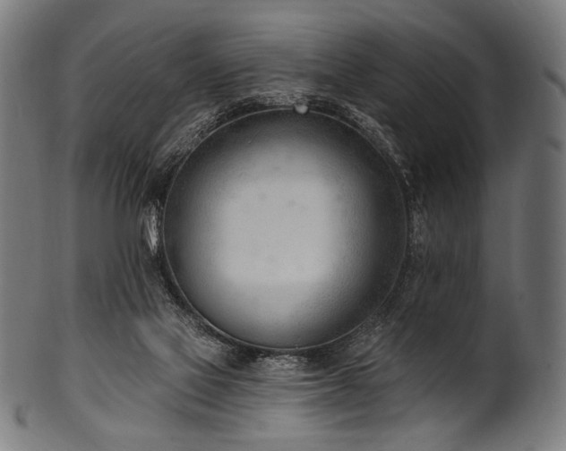 X0000100960069200806241537