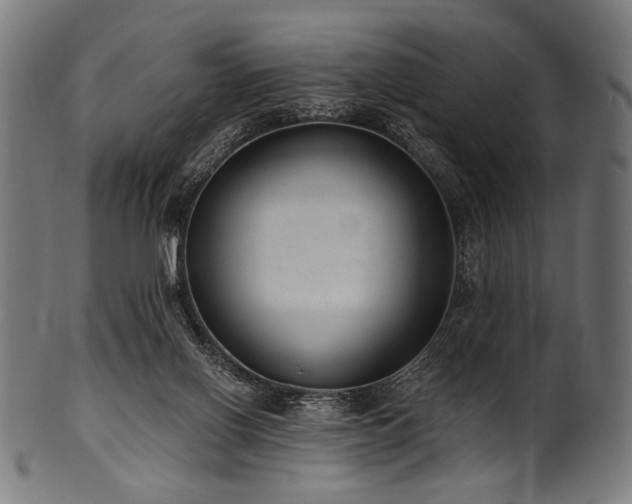 X0000100960070200806241537