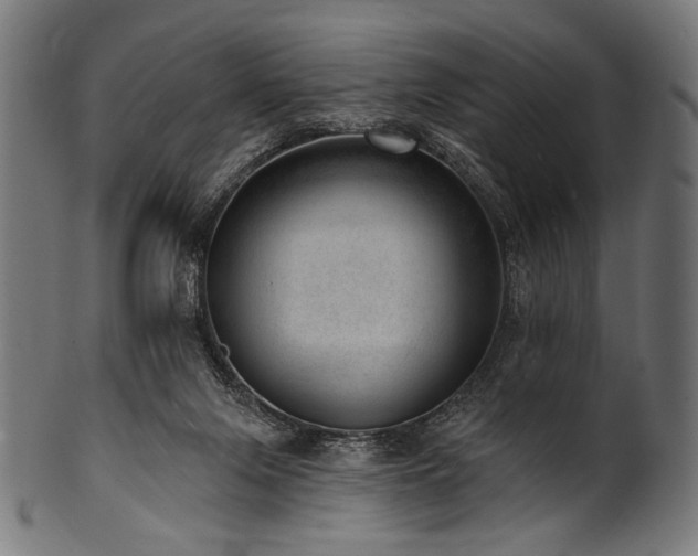 X0000100960071200806241537