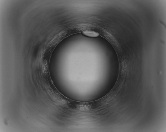 X0000100960073200806241537