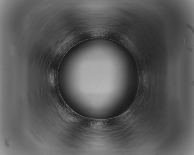 X0000100960074200806241537