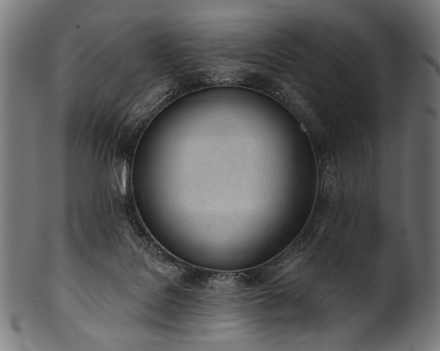 X0000100960076200806241537