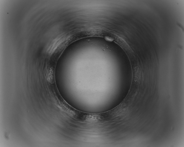 X0000100960077200806241537