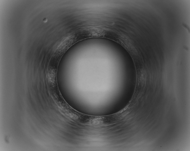 X0000100960078200806241537
