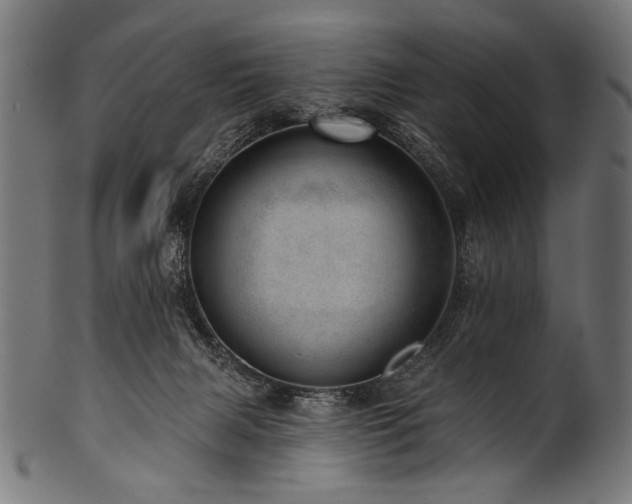 X0000100960079200806241537