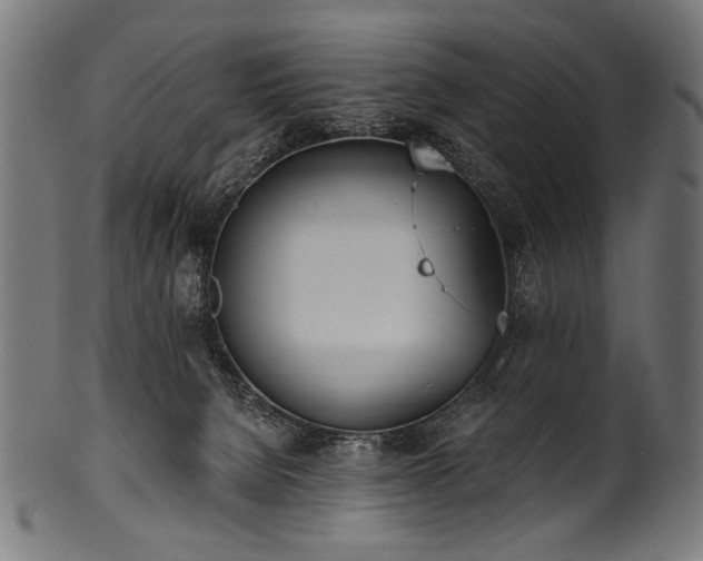 X0000100960080200806241537