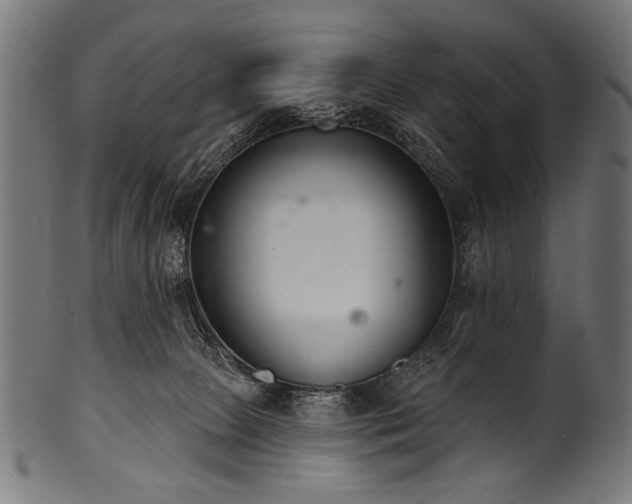 X0000100960081200806241537
