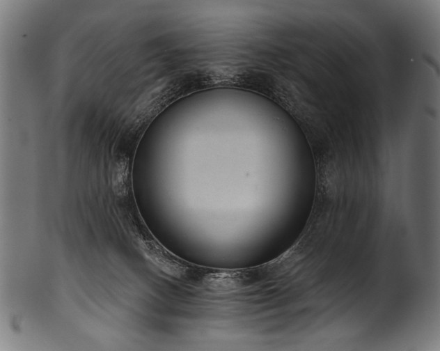 X0000100960082200806241537
